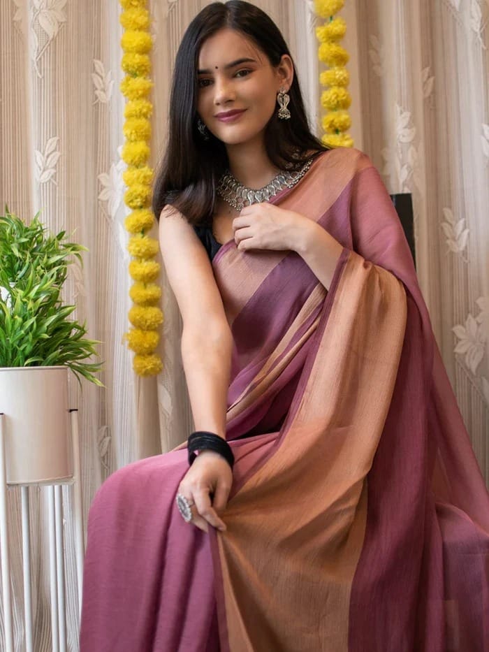 Organza blend with a matte, elegant finish Ready-to-Wear Saree 207